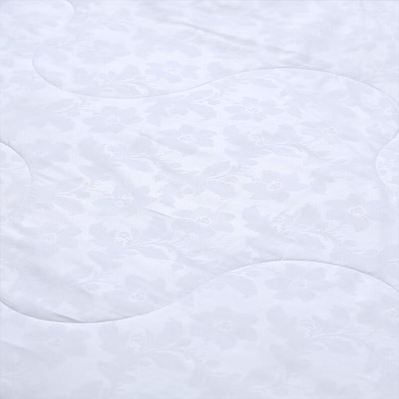 Fuanna Silk & Australian Wool Two-in-One Quilt