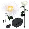Ensemble de lampes d'éclairage solaire 2x LED fleurs chrysanthème solaire GoGarden
