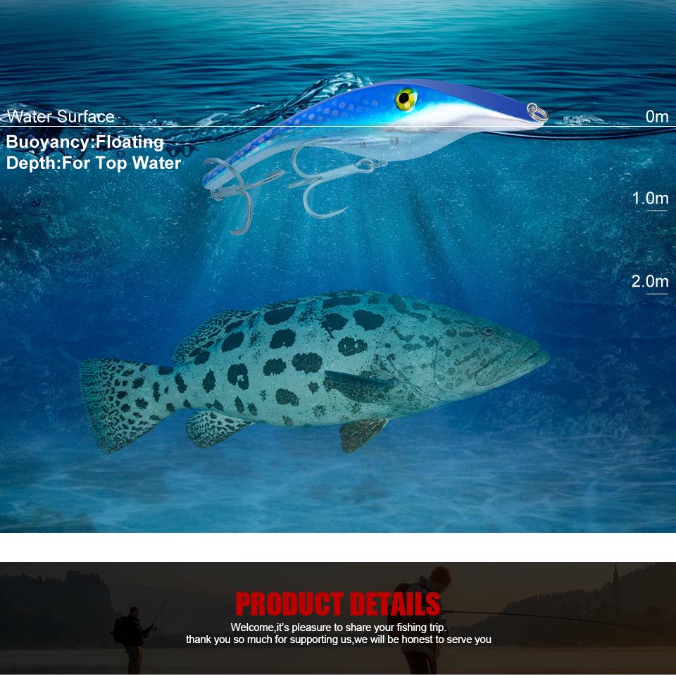 PRO BEROS Pencil Sea Fishing Lure 41g Hard Plastic Bait DW307
