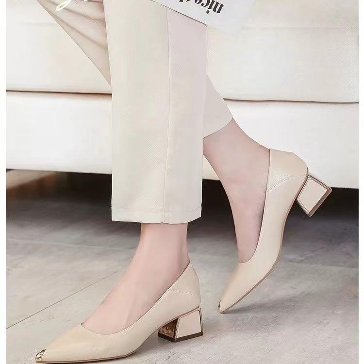 Pointed High Heels Femininity Thick Heel 2024 New Middle Heel Spring and Autumn Black Professional Versatile Comfortable Soft Sole Single Shoes