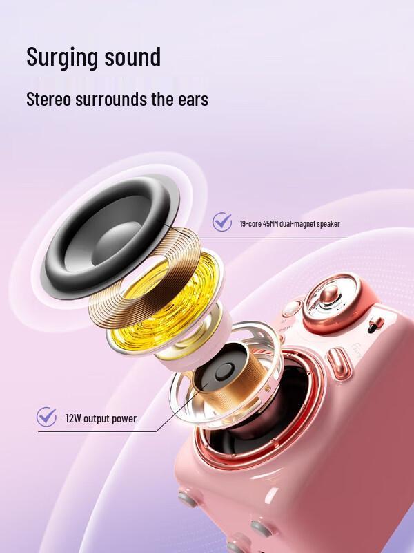 Dianyin Fairy Portable K-Song Bluetooth Speaker