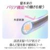 Essential The Beauty Hair Texture Beauty Barrier Treatment 200g Rinse-off Type Damage Repair Hair Care Moisturizing