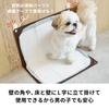 HARIO Dog Toilet Mat Wide Dog Cat Nursing Care Old Dog Old Cat Toilet Training PTS-TMWC-CBR