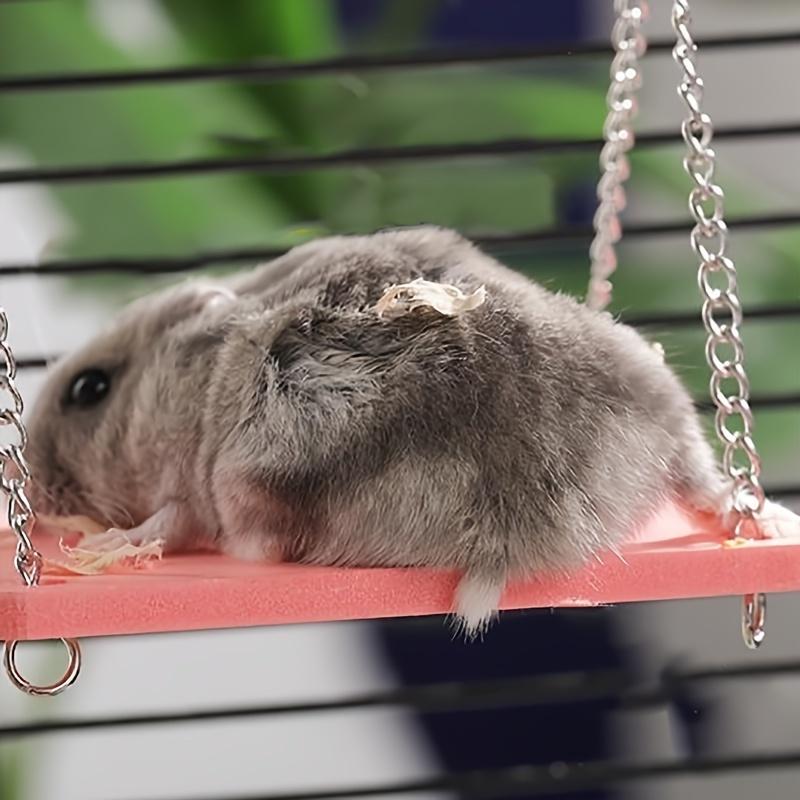 4 peças Brinquedos Pendurados Hamster Urso Dourado Pequeno Balanço Ponte Pendurada Acessórios de Gaiola Forma Decorativa