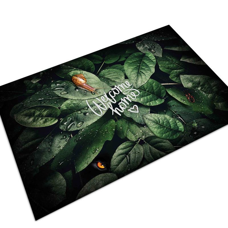 Small Absorbent Door Mats for Entry, Kitchen, Bathroom & Bedroom