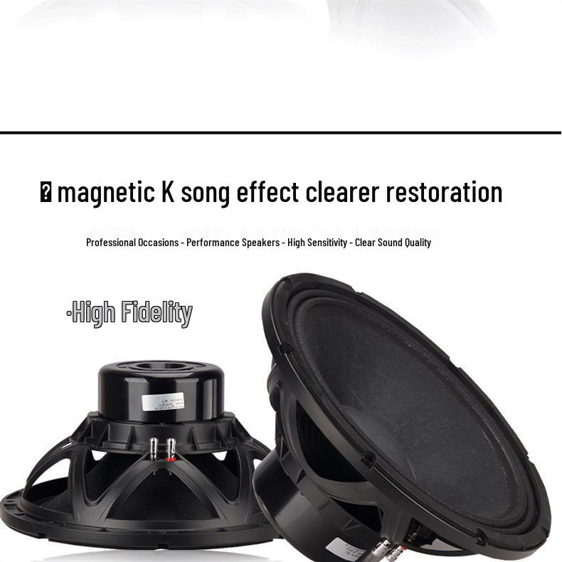 10, 12, 15, 18-inch KTV Subwoofer & Mid-bass Treble Pro Home Audio Speaker