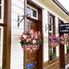 Coconut Brown Round Chain Hanging Basket European Planters Basket Fashion Flowerpot