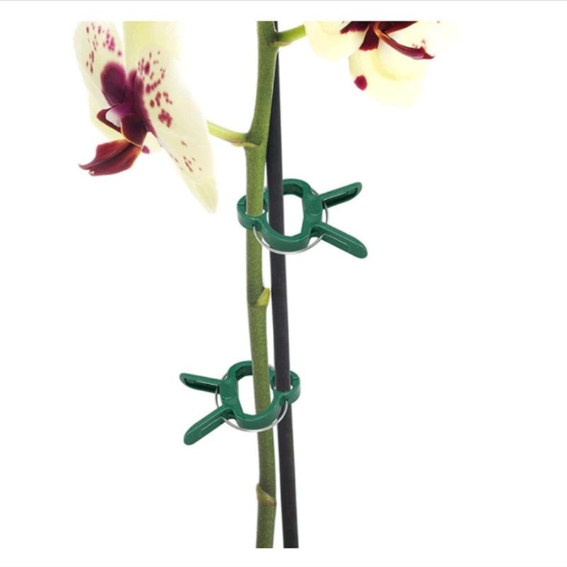 Plastic Plant Support Clips Plastic Clips Suitable for Securing Plant Tomato Vine Clips Plant Fixing Clips for Climbing