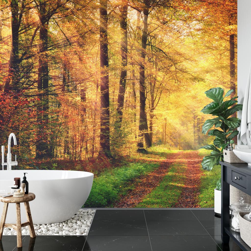 Photomural Forest Autumn Colors Self-Adhesive Mural 180x120