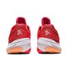Asics Buty Męskie Court FF Novak Pack Czerwony Ognisto-Czerwony Biały 1041A363-961