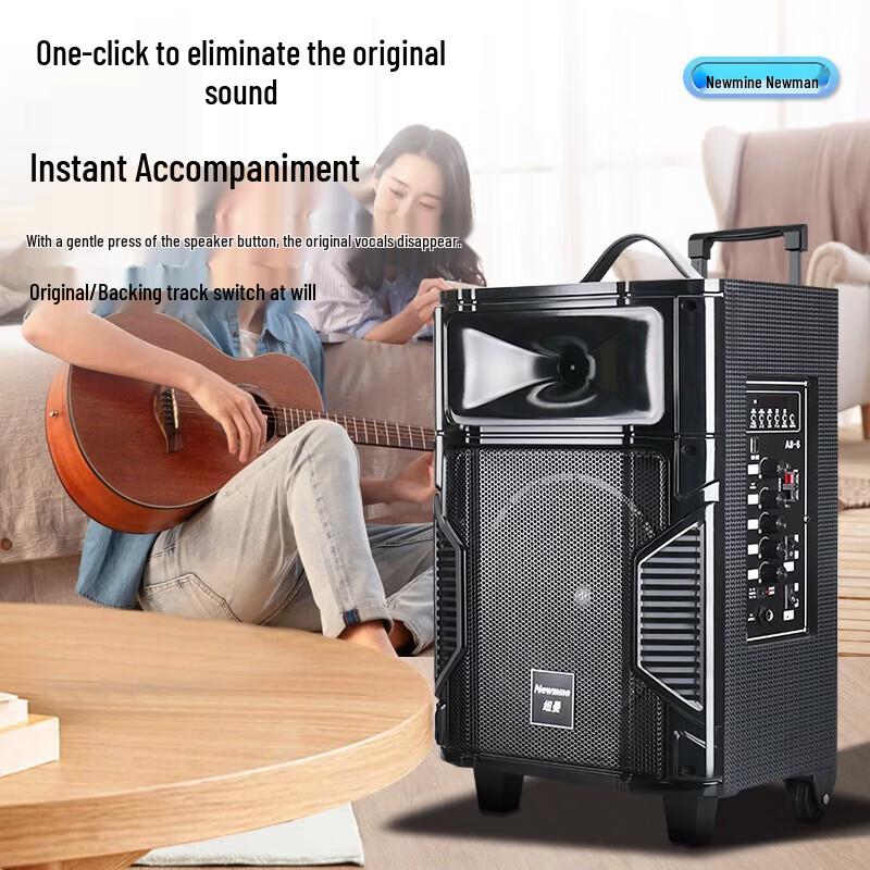 Newmine L23 Portable Outdoor Bluetooth Speaker with Wireless Microphone CN Plug (adapter Included)
