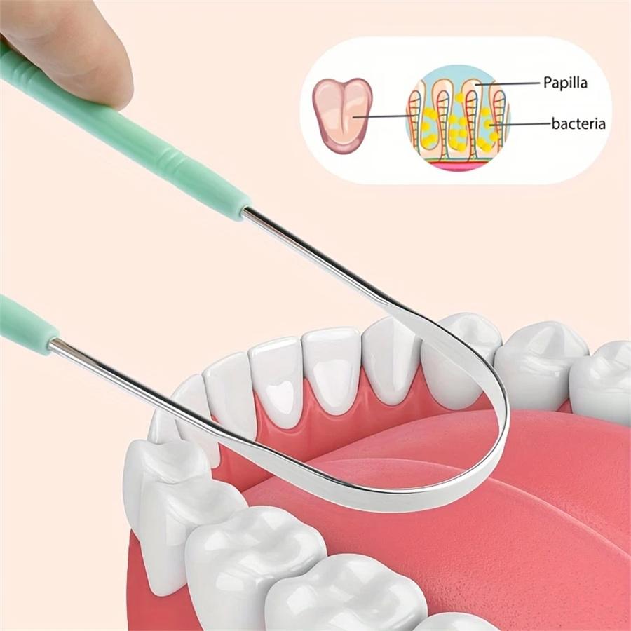 1 Stainless Steel Tongue Scraper, Fresh Breath, Suitable for Low Allergy Tongue Cleaning Tools for Adults and Children, Effectiv