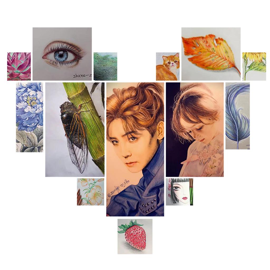 Marco Colored 120 Colored Adult Coloring Book Colored Colored Pencils with Good Luxury Colored Professional Colored Pencil Sharpener Pastel Colored