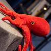 Octopus Plush Toy Realistic Red Giant Stuffed Animal Soft Octopus Creeping Toy Deep