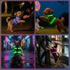 KOSKILL Illuminated Dog Harness for Small and Rechargeable LED Pet Harness with RGB Changing Reflective and Adjustable for Nighttime Traffic and