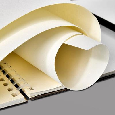 30 Pages Thick Sketchbook for Art 16K Drawing and Sketching Notebook Comfortable To Handle High-Quality with Perforated Pages