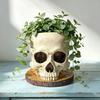 Decorative Resin Ornament Halloween Retro Skull Planter, Spooky Gothic Human Head Flower Pot, Indoor Potted Plant Pot Skeleton Candy Bowl Decoration