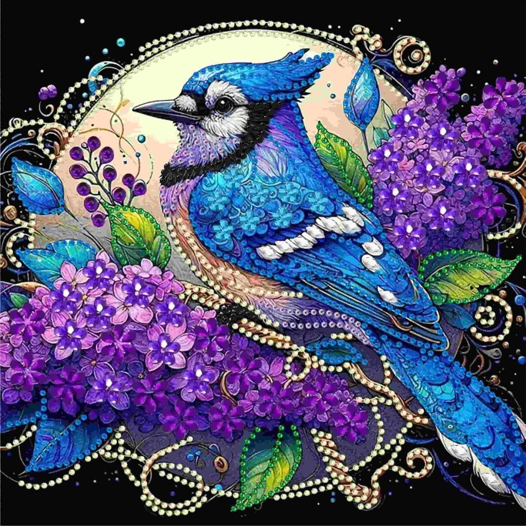 Diamond Painting, Special-Shaped Diamond Painting, Handmade Sticker Material Package 30 * 30 Diamond Sticker Diy Decorative Painting Cross-Border