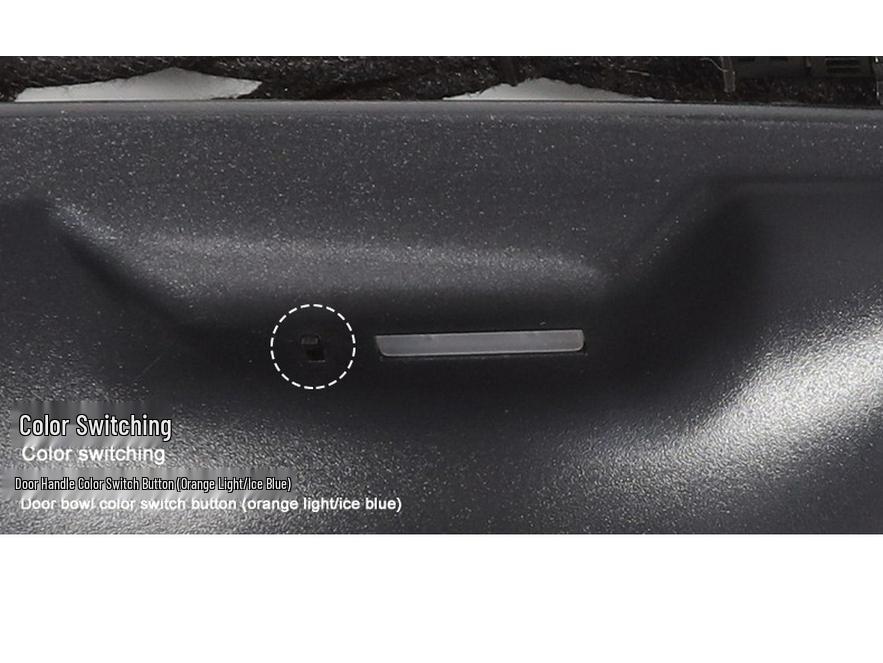 BMW 5 Series F10/F11/F18 LED Ambient Light Interior Door Handle Bowl Custom Accessories