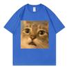 Surprised Cat Face Funny Meme Graphic T Shirts Unisex Unisex Casual Cotton Short Sleeve Tshirts Summer Fashion Oneck Loose Tshirt