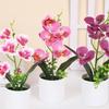 Plastic Bonsai Desktop Ornament Artificial Flower No-fading Butterfly Orchid Multicolor White Flowerpot Fake Butterfly Flower