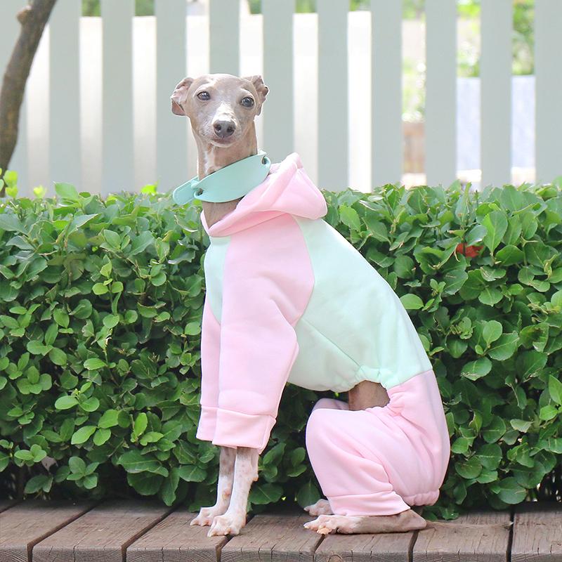 Winter Hundepullover Italienisches Windspiel Whippet Warmer Hundemantel Haustier Fleece Warm Mit Kapuze Vierbeiniger Pullover Overall