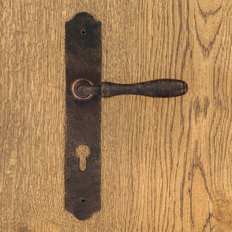 BRISTOL AGED door handle with a plate for a 72mm insert