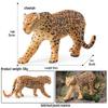Wild Animal Toy Model: Cheetah, Jaguar, African Leopard for Children's Learning