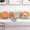 Pumpkin Patch Cushion Cover Double-Sided Plush Sofa Cushion Covers Organic Breathable Invisible Zipper