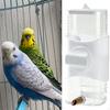 Automatic Bird Water Dispenser for Medium Birds - 300ml Capacity