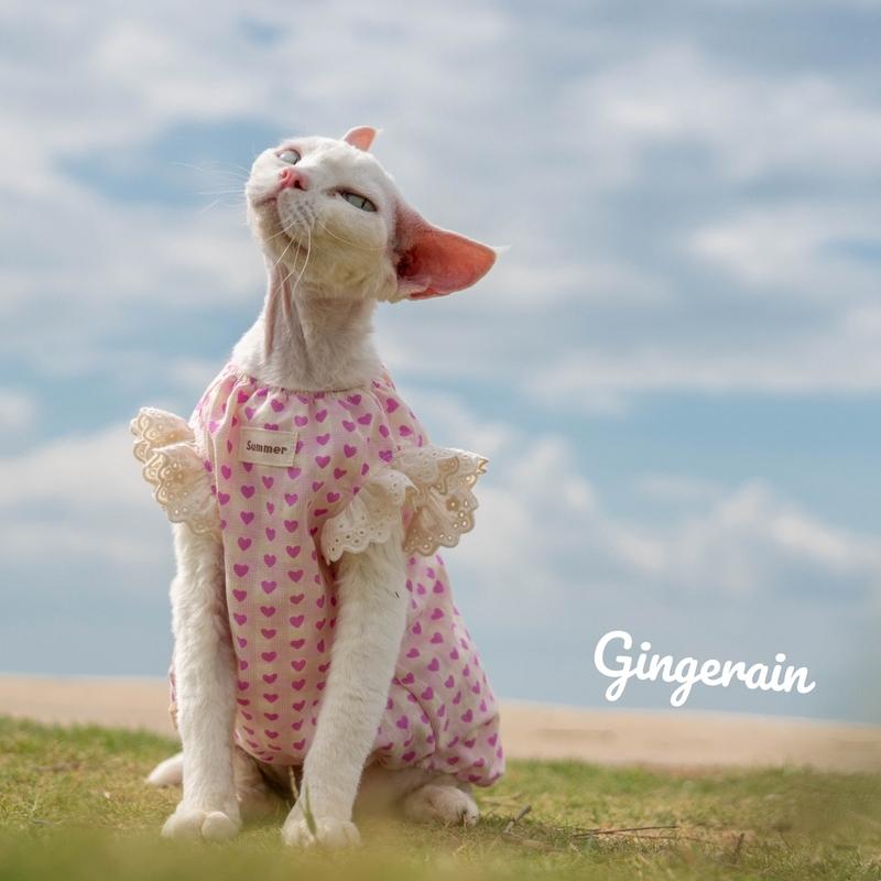 Summer Sphynx Cat Clothes Lace Floral Dress for Kittens Spring Sweet Vest for Female Cat Vintage Cardigan T-shirt for Devon Rex