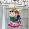 Oiseaux – Jouets pour oiseaux