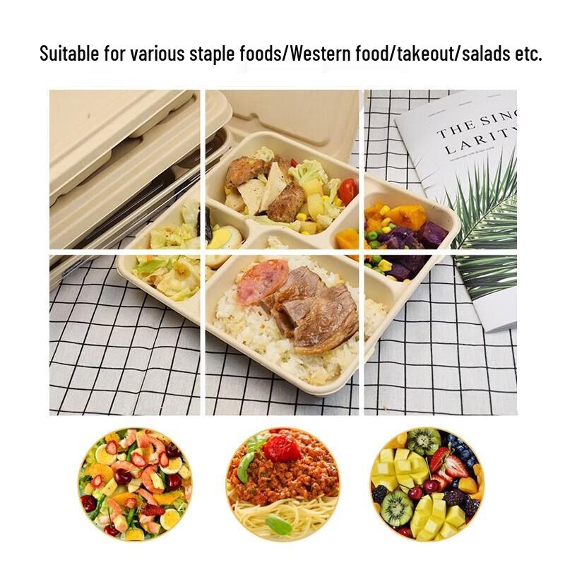Degradable Sugarcane Pulp 4-Compartment Takeaway Meal Box with Lid