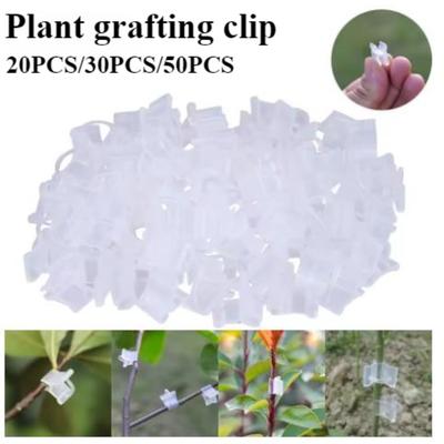 20/30/50 pezzi di clip per innesto di piante, mini morsetti in plastica per legare piante di ortaggi e frutta, supporti per la semina, clip di fissaggio per connettori.