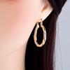 Golden Hoop Earrings Bohemian Style Alloy Earrings Exquisite Gift Women'S Daily Casual Earrings