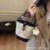 New Bag Women's Bucket Bag Spring and Summer Niche Design Messenger Bag High-end Sense Work Small Bag