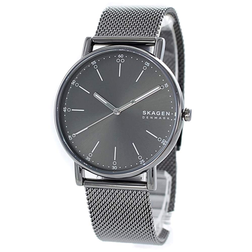 SKAGEN Men's Signatur Watch, Gray Mesh Stainless Steel, SKW6577 [Parallel Import]