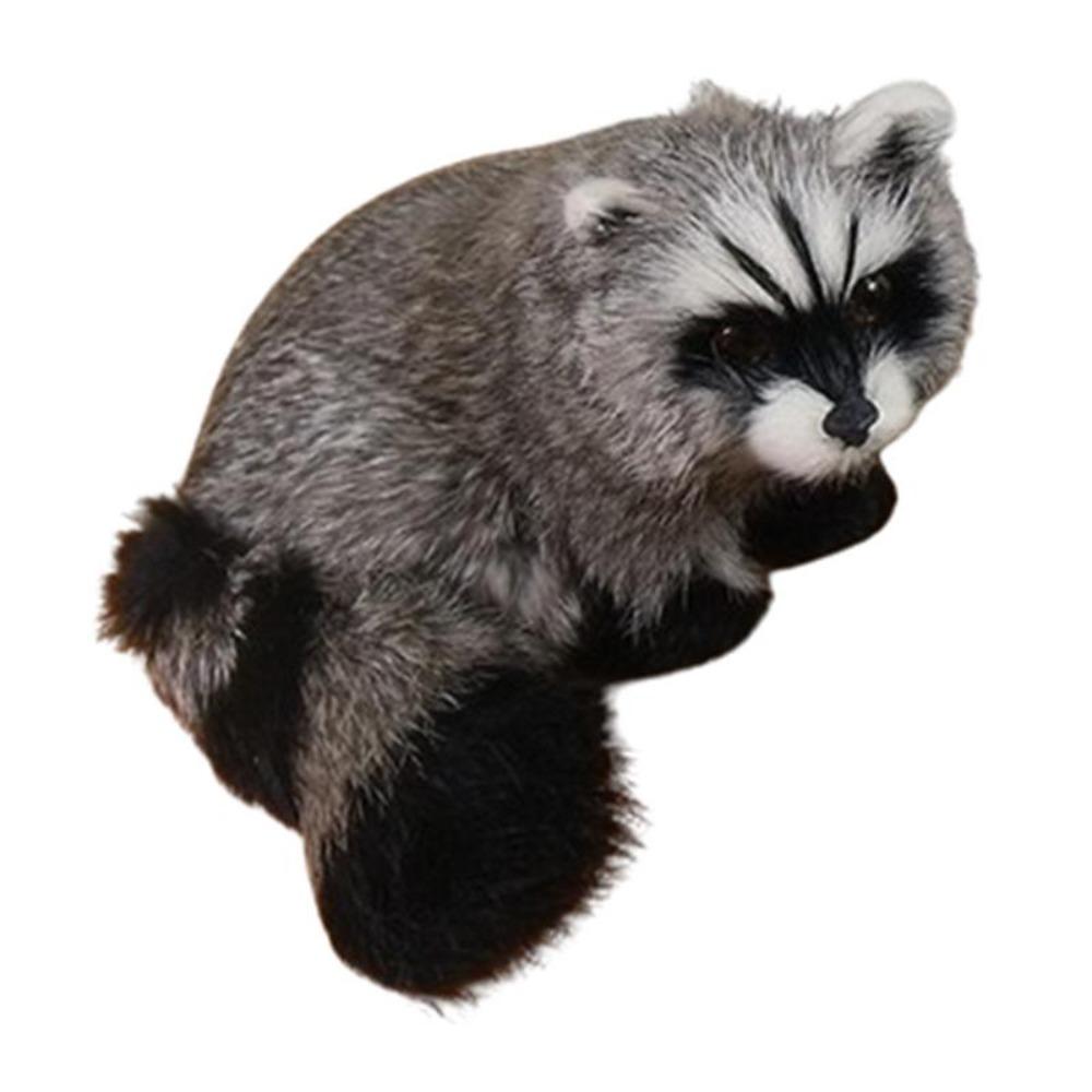 Animal Model Simulation Raccoon Model Realistic Simulation 3D Raccoon Raccoon Figure  Photo Props