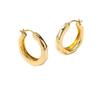 "Elegant Flowing French Earrings - Simple, Versatile Design for Women"