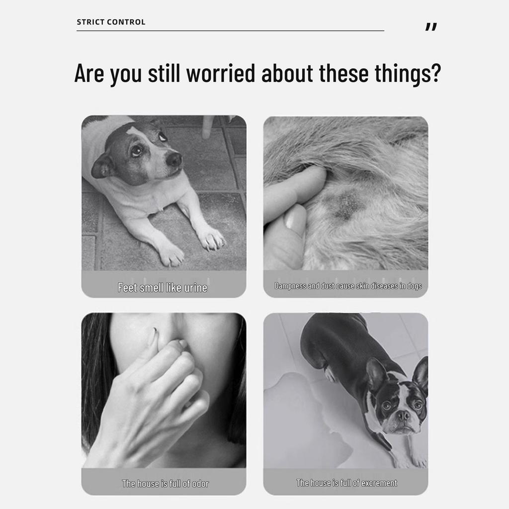 Deodorizing Disposable Dog Pee Pads: Absorbent, Sanitary Care for Pets
