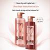 L'Oréal Paris Ginger Strength & Oil Control Shampoo 660ml