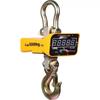 Qiuqiao Wireless Digital Crane Scale