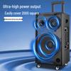 SAST Portable Karaoke Bluetooth Speaker with Dual Microphones CN plug (adapter included)
