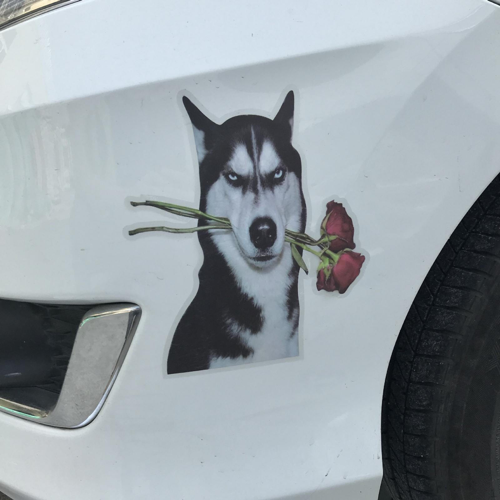

Car ers Decor, Decals Exterior Decoration Husky er Crack Vinyl for Truck Style C