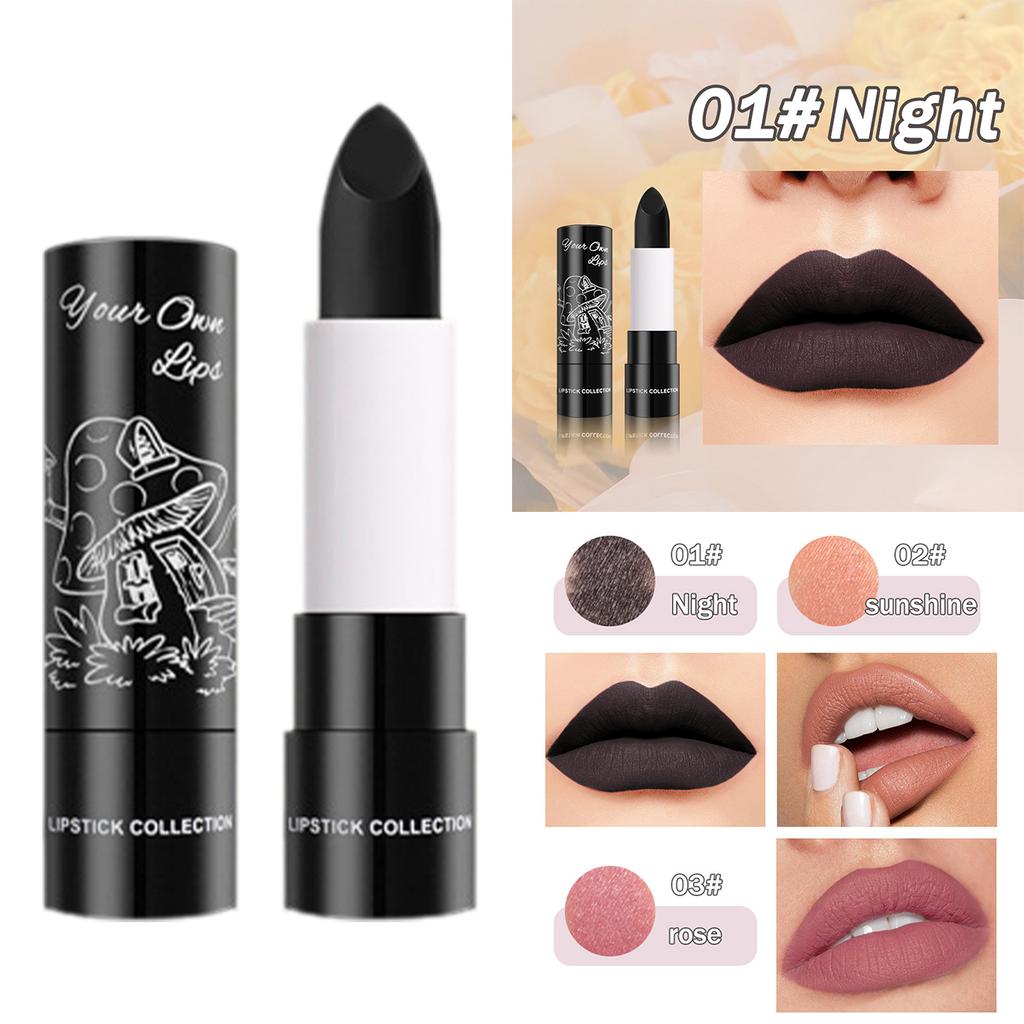 Velvet Matte Lipstick 1PC High Pigment Color Rich Long Lasting Waterproof Non Transfer Lip Makeup Soft Feel Lipstick for Women Girls Beauty Gift