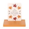 Something Different Autumn Magic Affirmation Cards