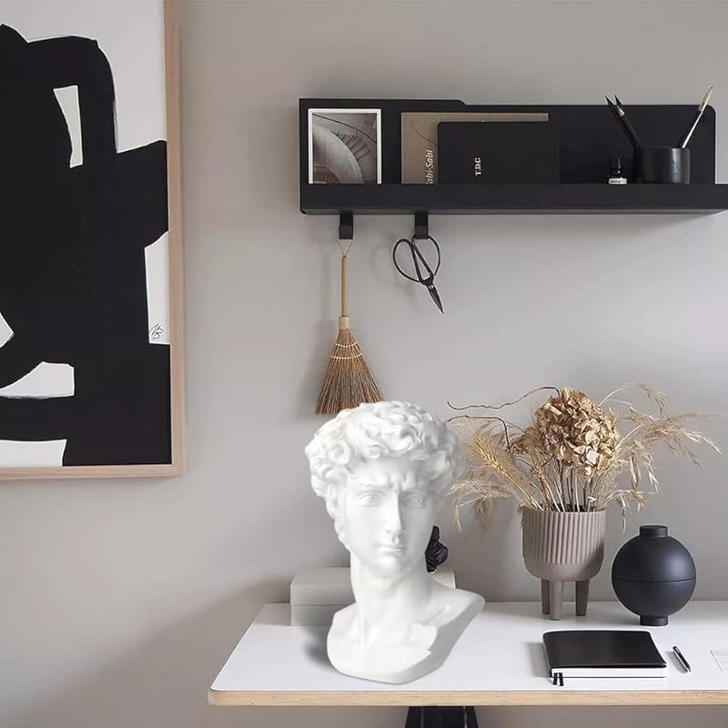 Norrclp 11in Greek Statue of David, Classic Roman Bust Greek Mythology Sculpture for Home Decor