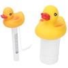 2Pcs Water Thermometer Set High Temperature Resistant Pool Chlorine Dispenser for Pond Swimming Pool