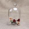 Glass Display Case Home Decorative DIY Dome Cloche Cover for Party Office Tabletop