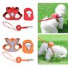 Pet Harness and Leash Combo for Enjoyable Outdoor Adventures